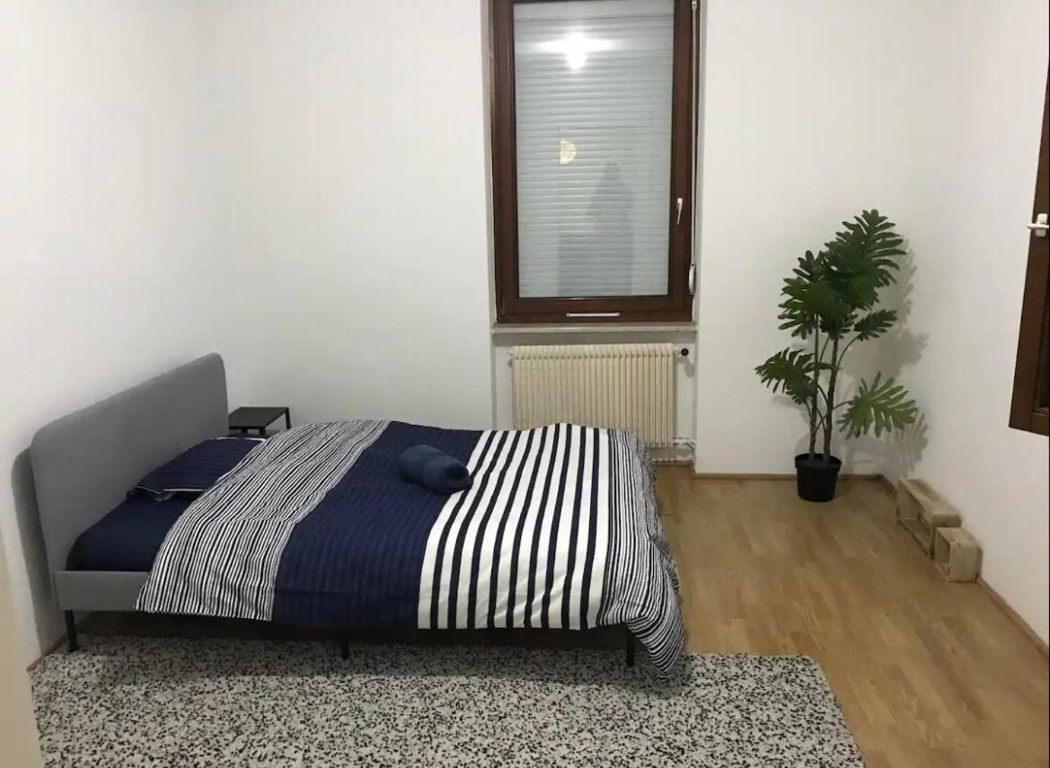 Appartement Spacieux A 10 Min Du Centre Strasburg Zewnętrze zdjęcie